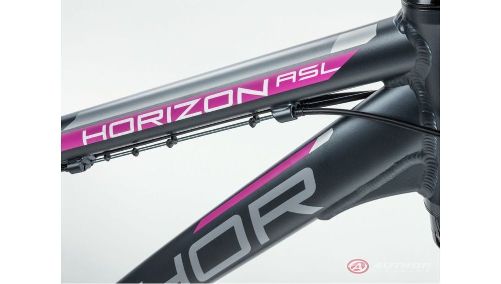 Велосипед AUTHOR Horizon ASL 28", рама 17", сірий (рожевий)/сірий 2023183 фото у BIKE MARKET